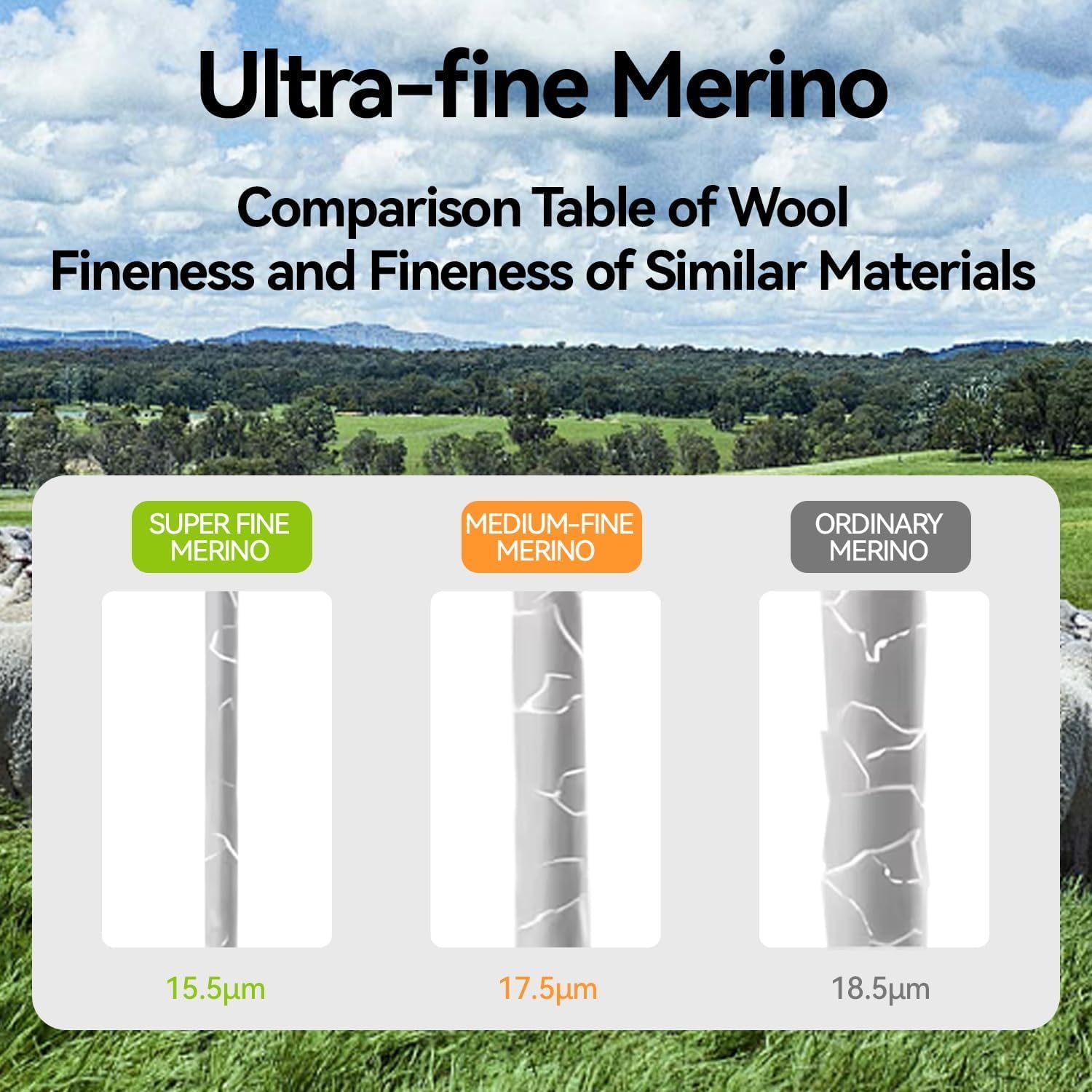 Men’s 100% Merino Wool Tank Top – 15.5Micron Base Layer Undershirt, Lightweight Breathable Vest for Hiking