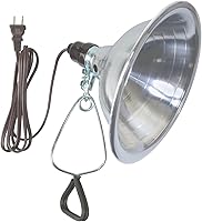 Woods 150W Clamp Lamp with 8.5-Inch Aluminum Reflector, UL Listed, 6-Foot Cord - Versatile Work Light
