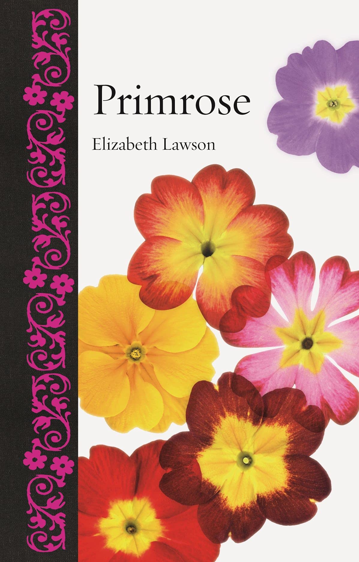 Primrose (Botanical)-Elizabeth Lawson