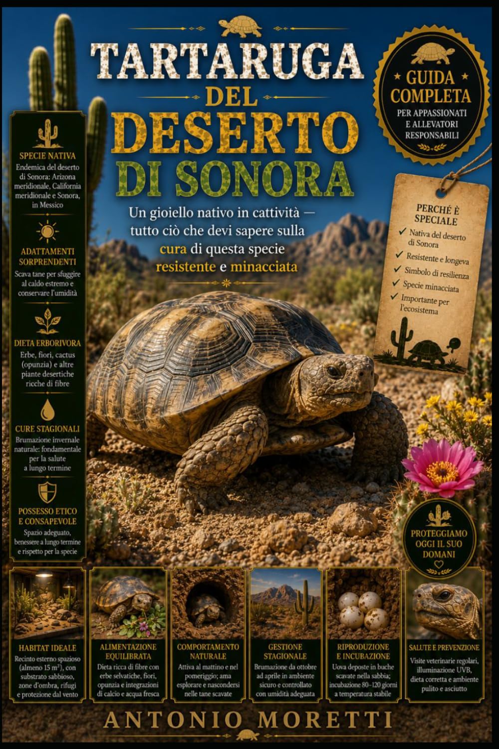 TARTARUGA DEL DESERTO DI SONORA: Un gioiello nativo in cattività — tutto ciò che devi sapere sulla cura di questa specie resistente e minacciata