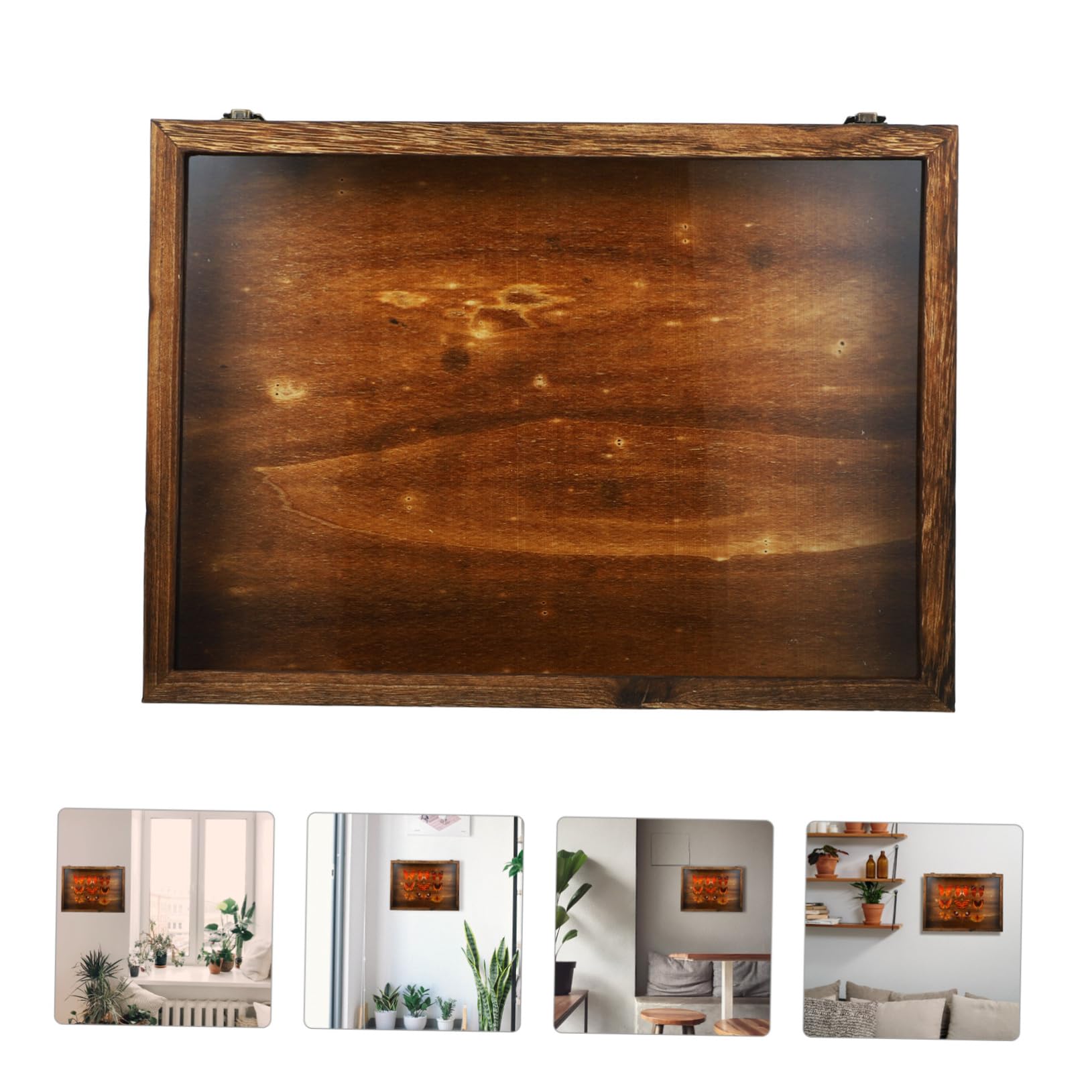 Ciieeo Vetrina e Conservazione Marrone in Legno per Insetti Scatola Vintage con Coperchio Trasparente per Esposizione di Campioni e Gioielli da Parete