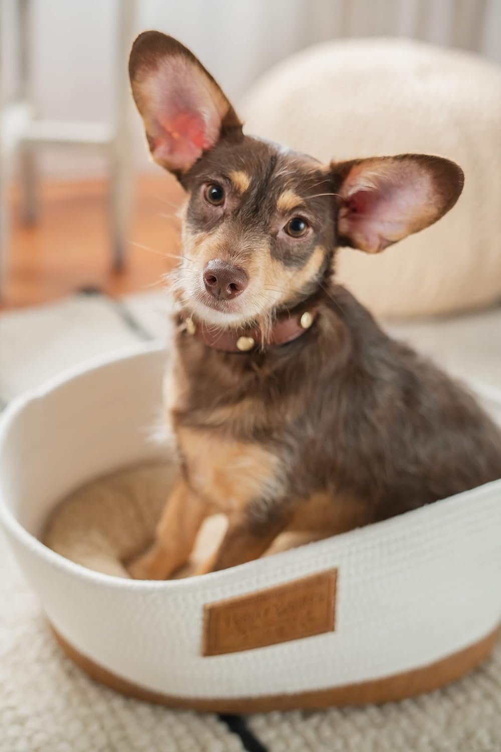 Harry Barker Woven Rope Basket Bed