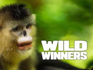 Wild Winners
