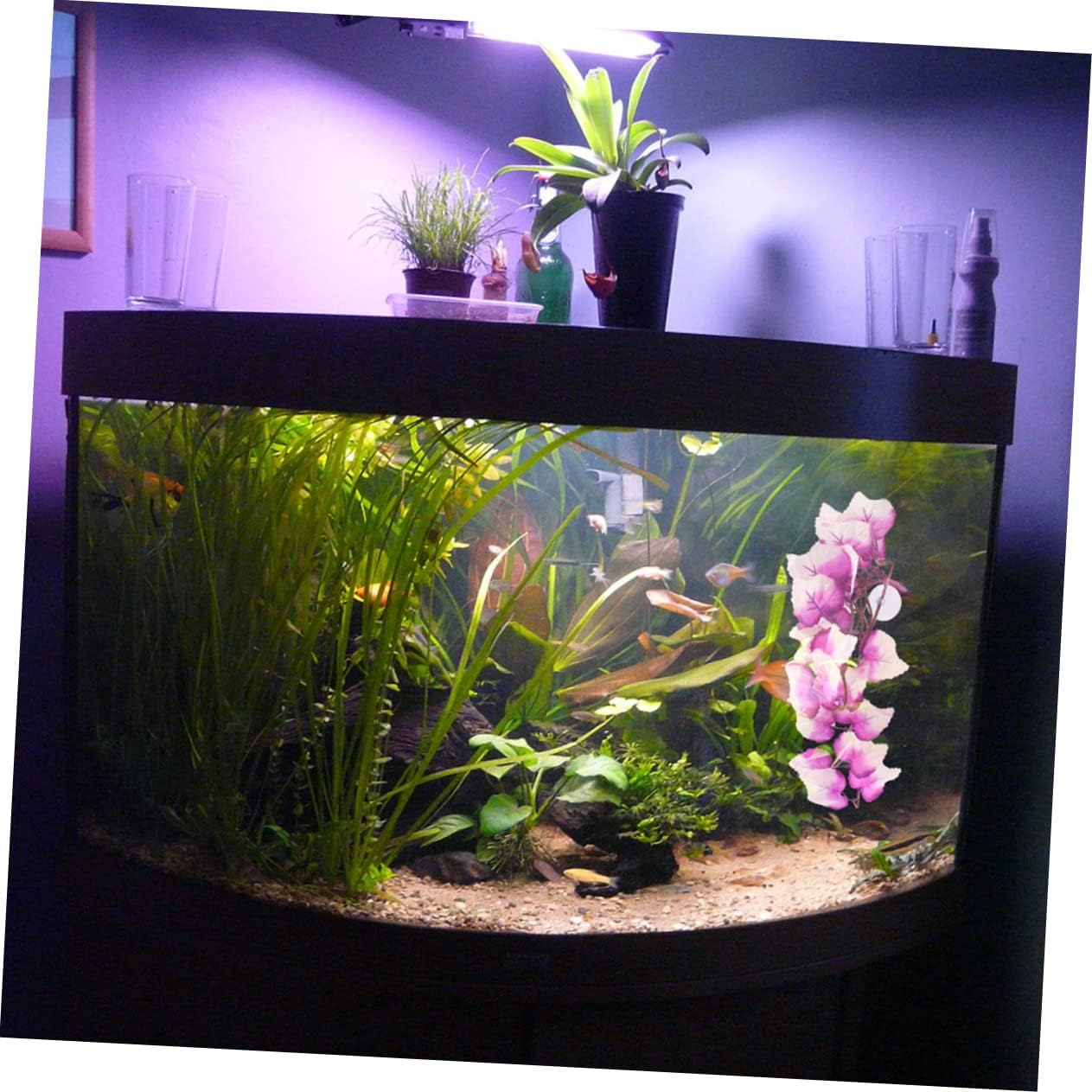 VICASKY 3sets Hanging Fake Plant Reptile Plant Delicate Faux Terrarium Supply Wear-Resistant 2pcs*3