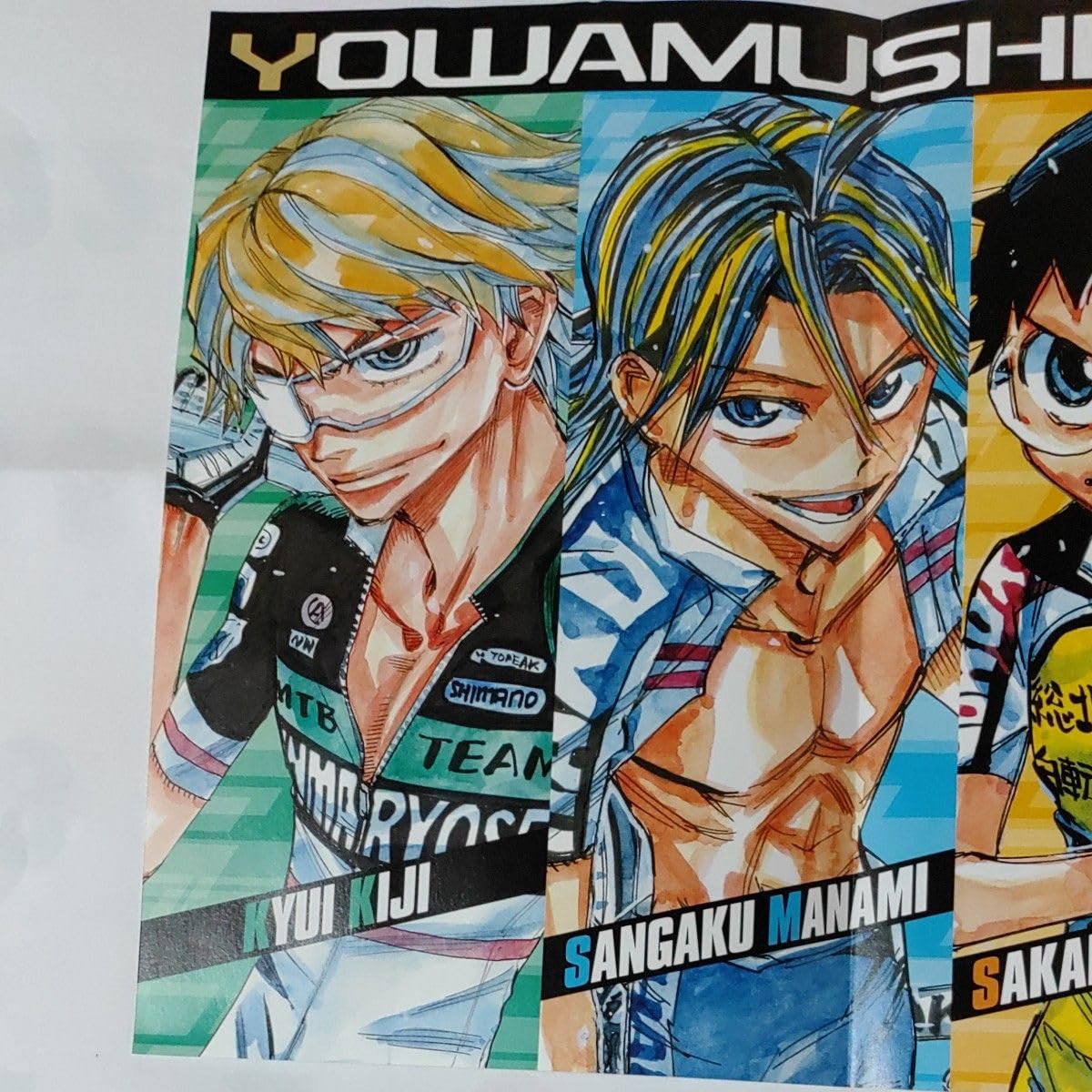 Amazon.co.jp: 弱虫ペダル 週刊少年チャンピオン付録 ポスター