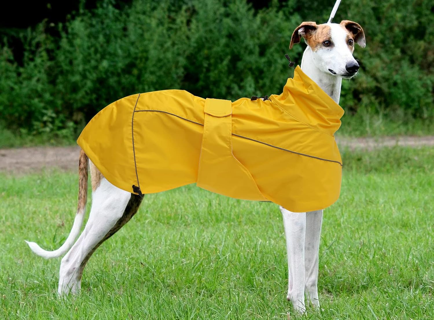 Greyhound Lurcher Raincoat, Whippet Rain Gear with Reflective Bar, Rain/Waterproof, Adjustable Bands and Drawstring in Autumn and Winter - Yellow - XXL