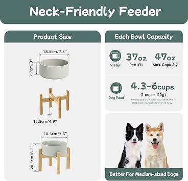 Havniva Dog Bowls Elevated, Ceramic Dog Food and Water Bowl | 7.3 Raised Dog Food Bowl, Elevated Dog Bowls with Bamboo Stand, Non-Slip Dog Water Bowl for Medium Dog, Large Capacity