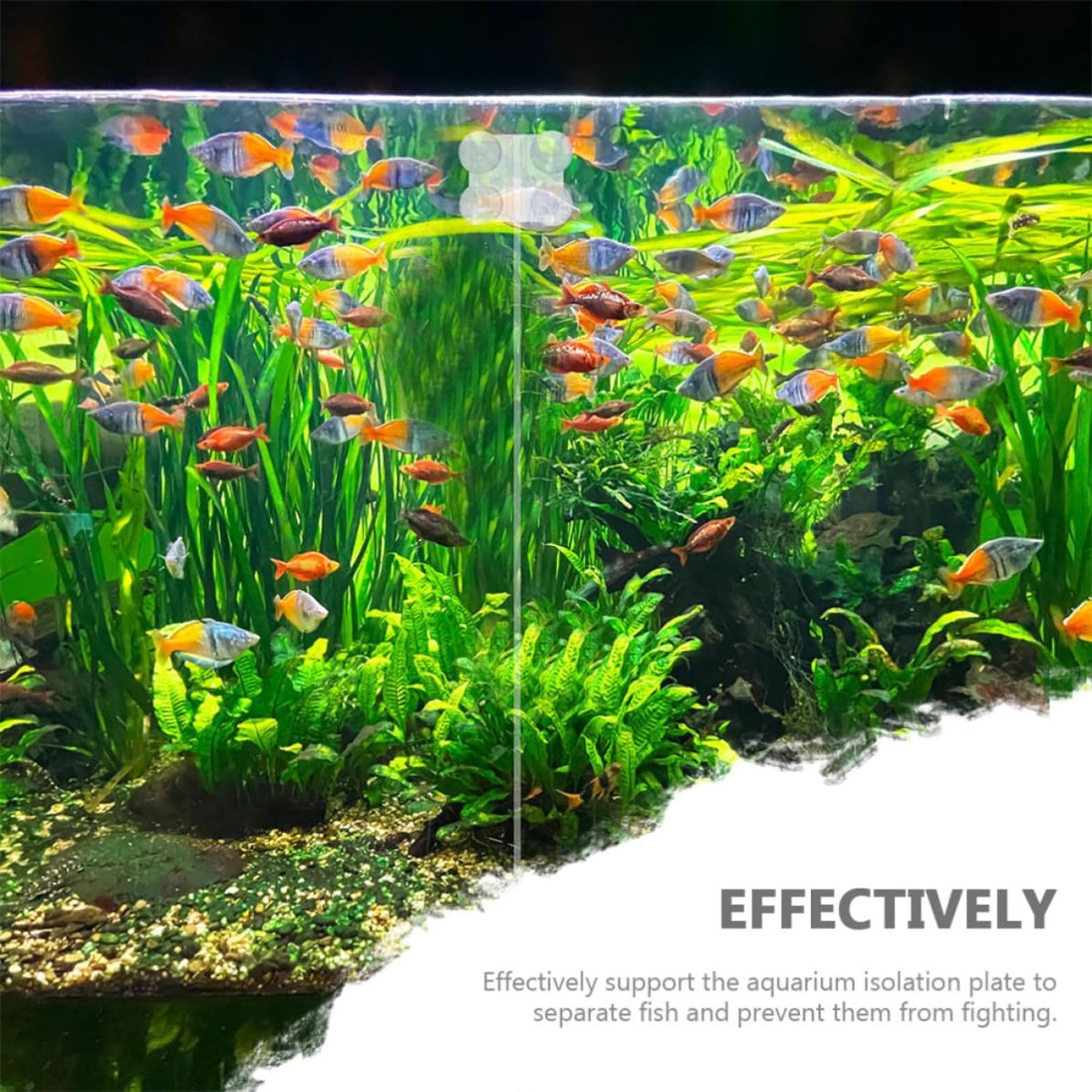 VILLCASE 2pcs Acrylic Aquarium Isolation Divider Clip with Suction Cup for Fish Tanks Supports Aquarium Isolation Plate Separates Fish Securely
