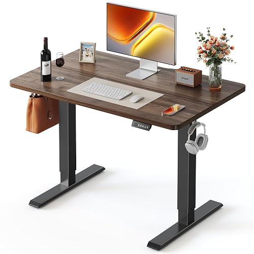 FEZIBO 40x24 Inch Electric Standing Desk