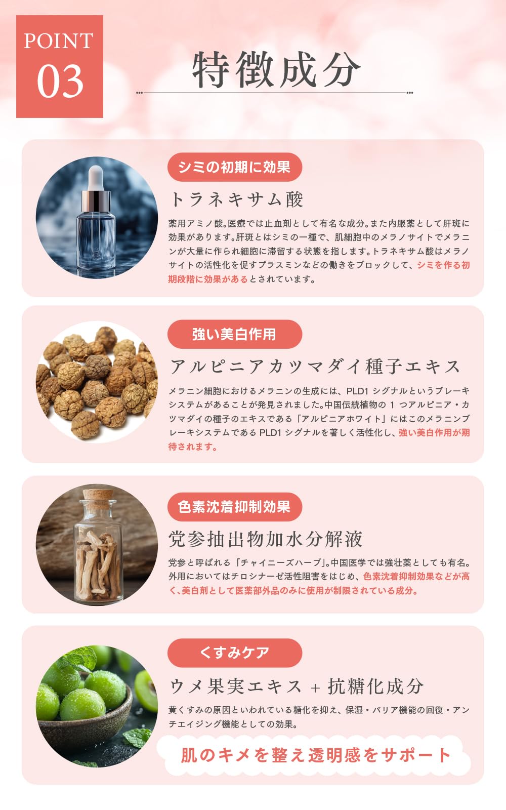 Amazon.co.jp: インナーブラン ホワイトニングクリーム 医薬部外品 20g