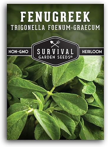 Vista 10 de 2 paquetes de semillas de alholva para plantar con instrucciones para cultivar Samudra Methi en tu huerto casero, reliquia sin OMG - Buenos