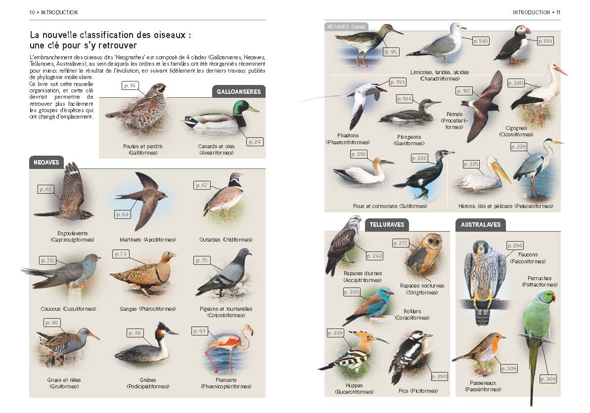 Tous les oiseaux d'Europe