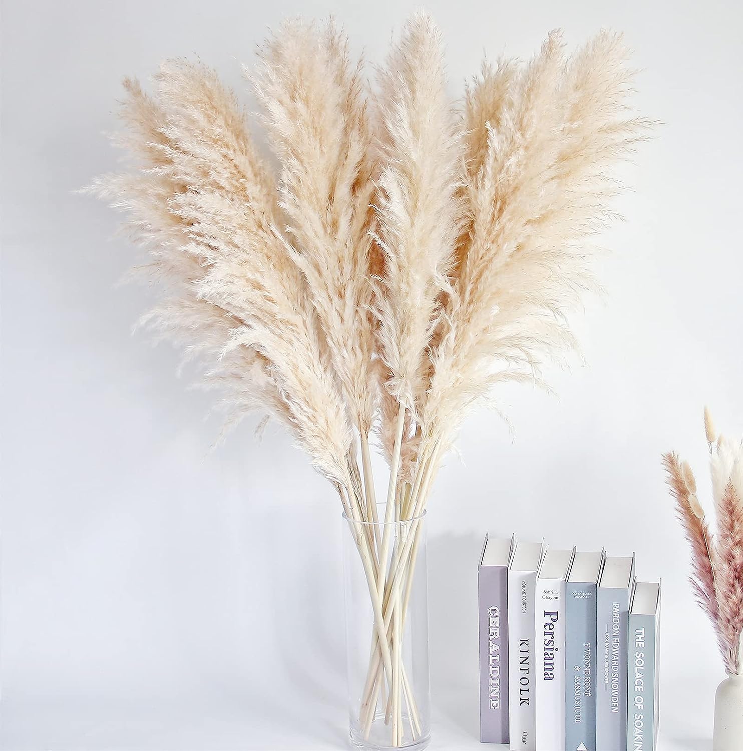 60 Tiges De Pampas Artificielles Noires - 43 Cm - Décoration Boho Pour Mariage, Maison, Événements - 5