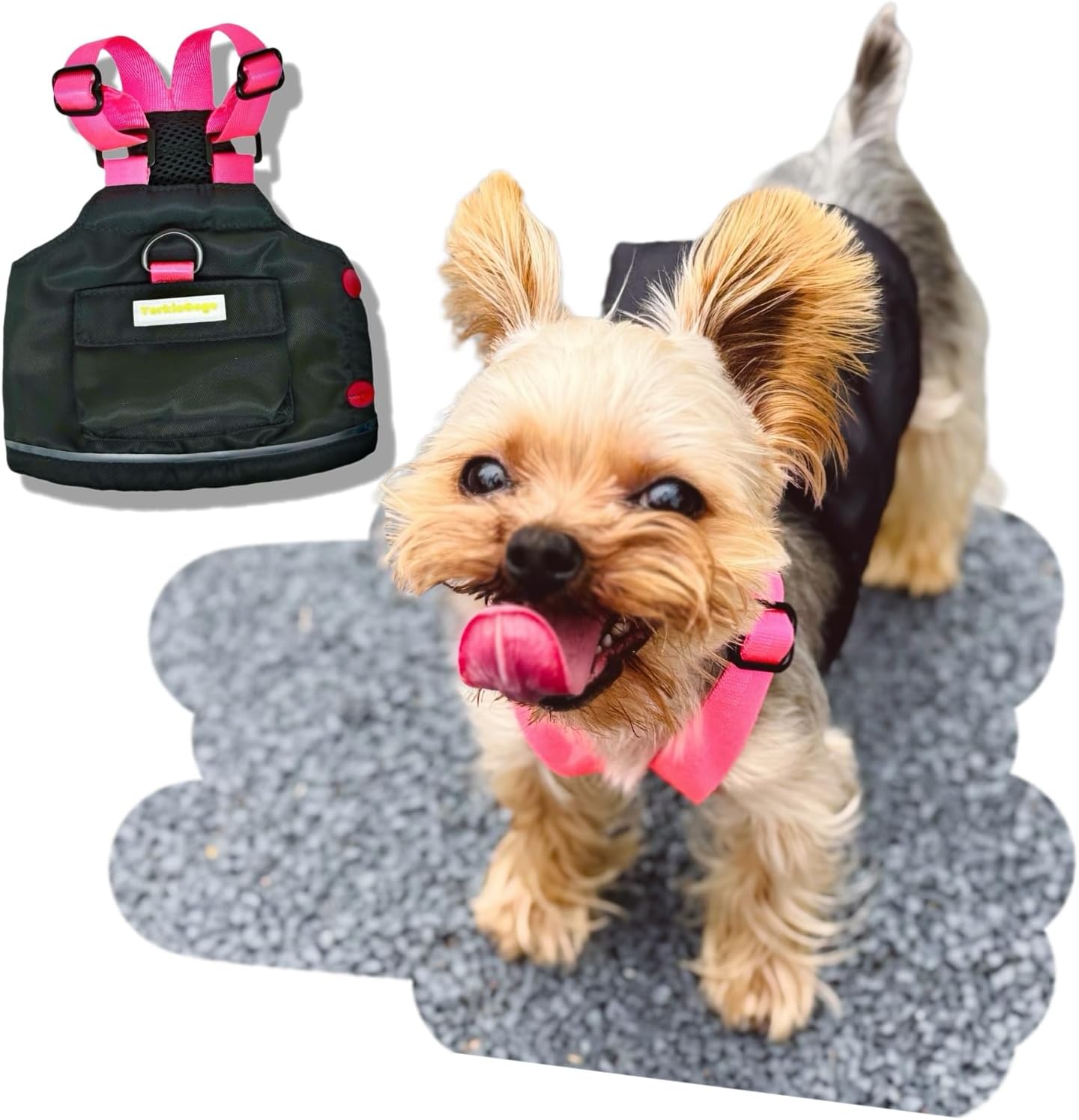 Little Explorer Pet Vest – High-Vis Outdoor Outfit with Detachable Backpack for Small/Teacup Dog, Cat, Small Animal & Monster | Durable & Warm for Winter/Fall/Spring (Black, XS)