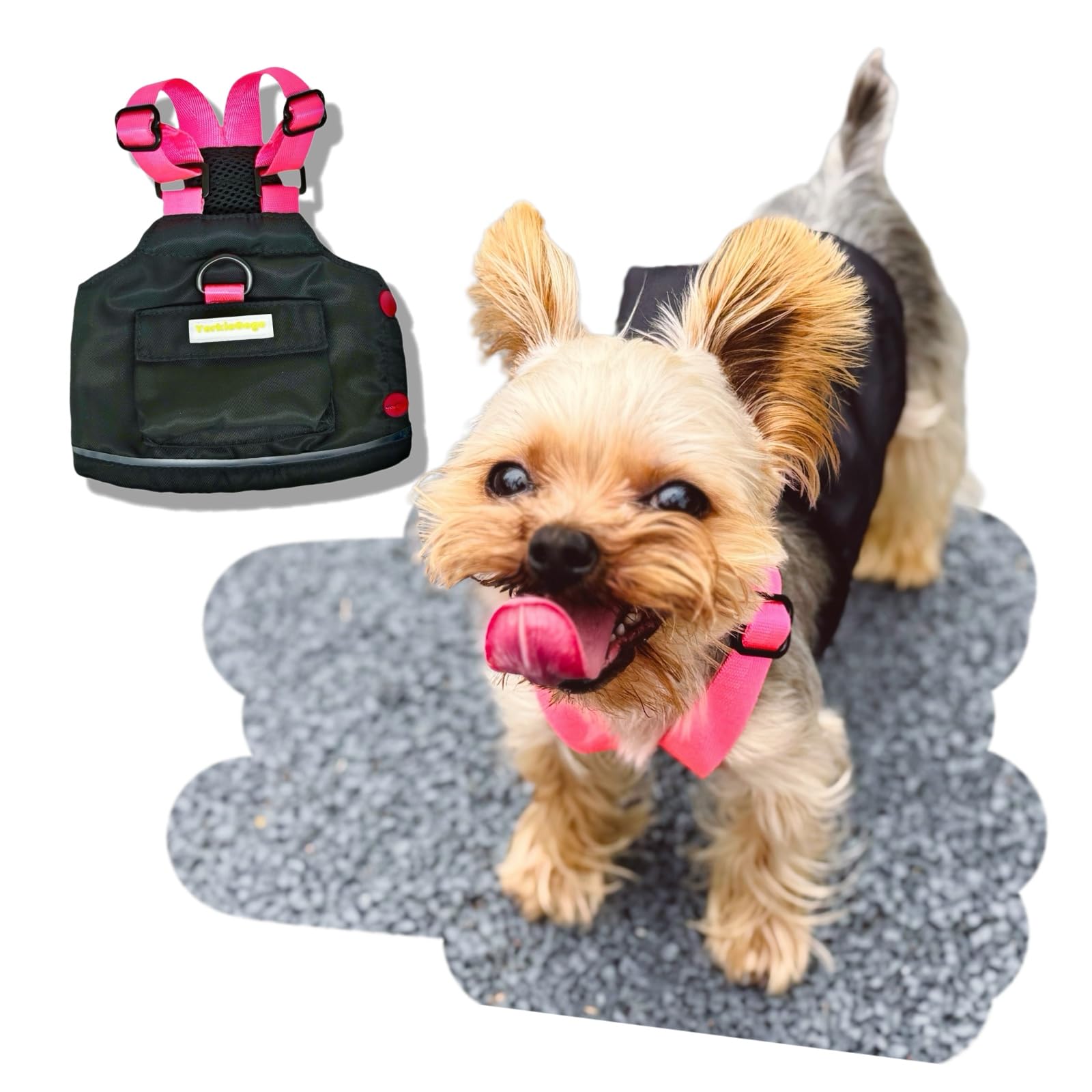 Little Explorer Giubbino per Animali - Completo Esterno ad Alta Visibilità con Zaino Staccabile per Cani di Piccola Taglia/Tazza da Tè, Gatti, Animali Piccoli & Mostri (XXS, Nero)