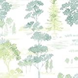 Forest Wallpaper