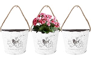 Window Garden - Metal Wall Planter