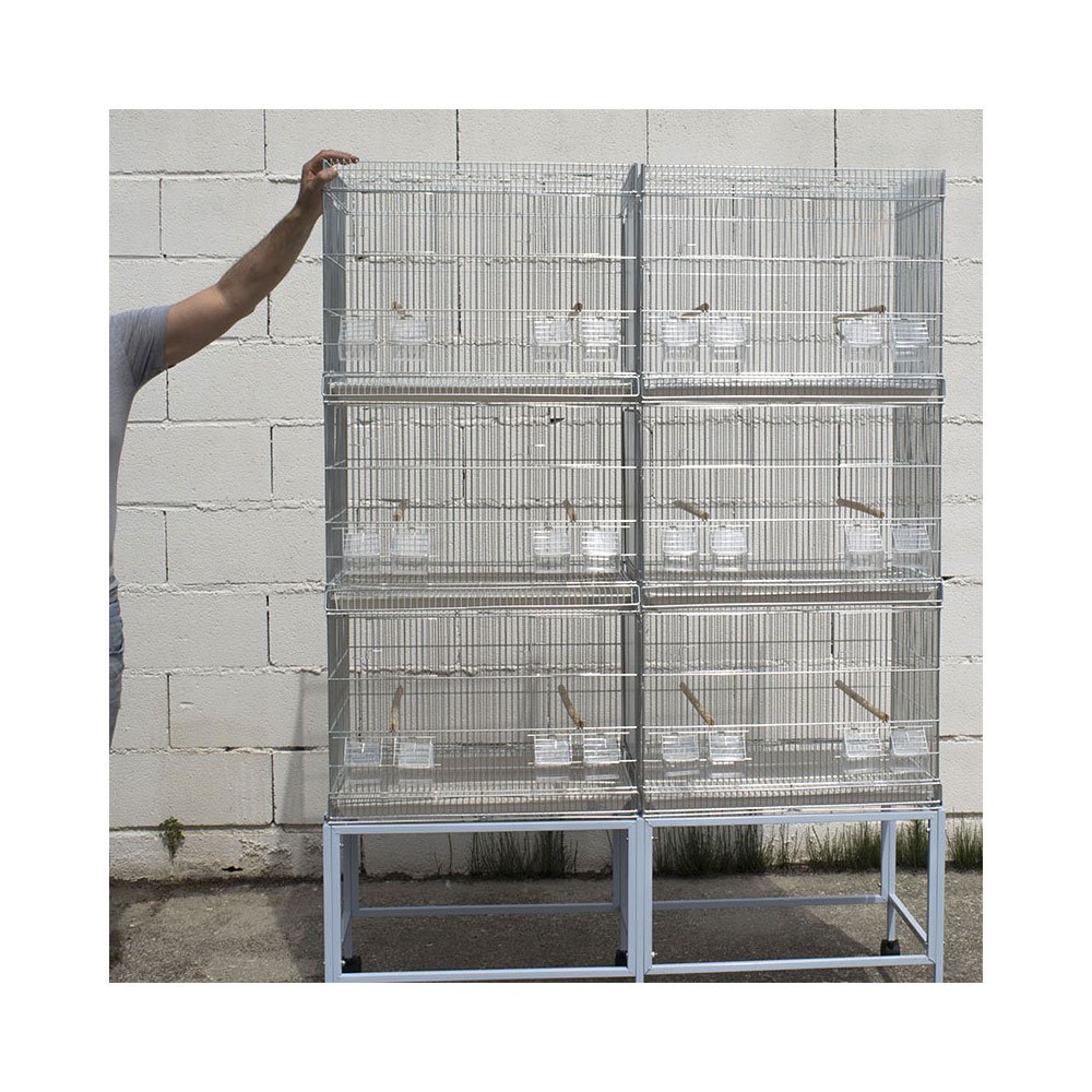 Pet's Solution - Batteria Gabbie da Cova Silver con Carrello e Accessori, per Allevamento, Riproduzione ed Esposizione Uccelli - 2 Moduli con 6 Gabbie di 60x42x43h cm
