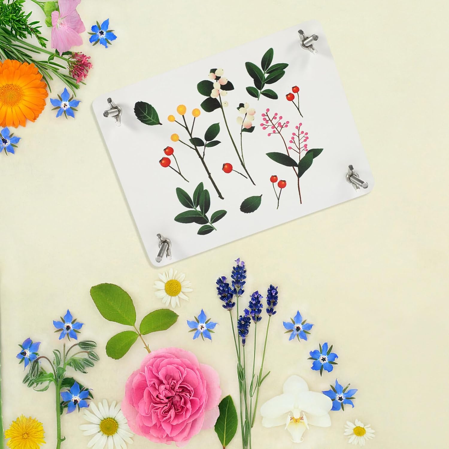 EXCEART 1set Wooden Flower Pressing Kit Tool for Pressed Flower Art Multi Plant Specimen Maker for Scrapbooking Greeting Cards Invitations and Crafts