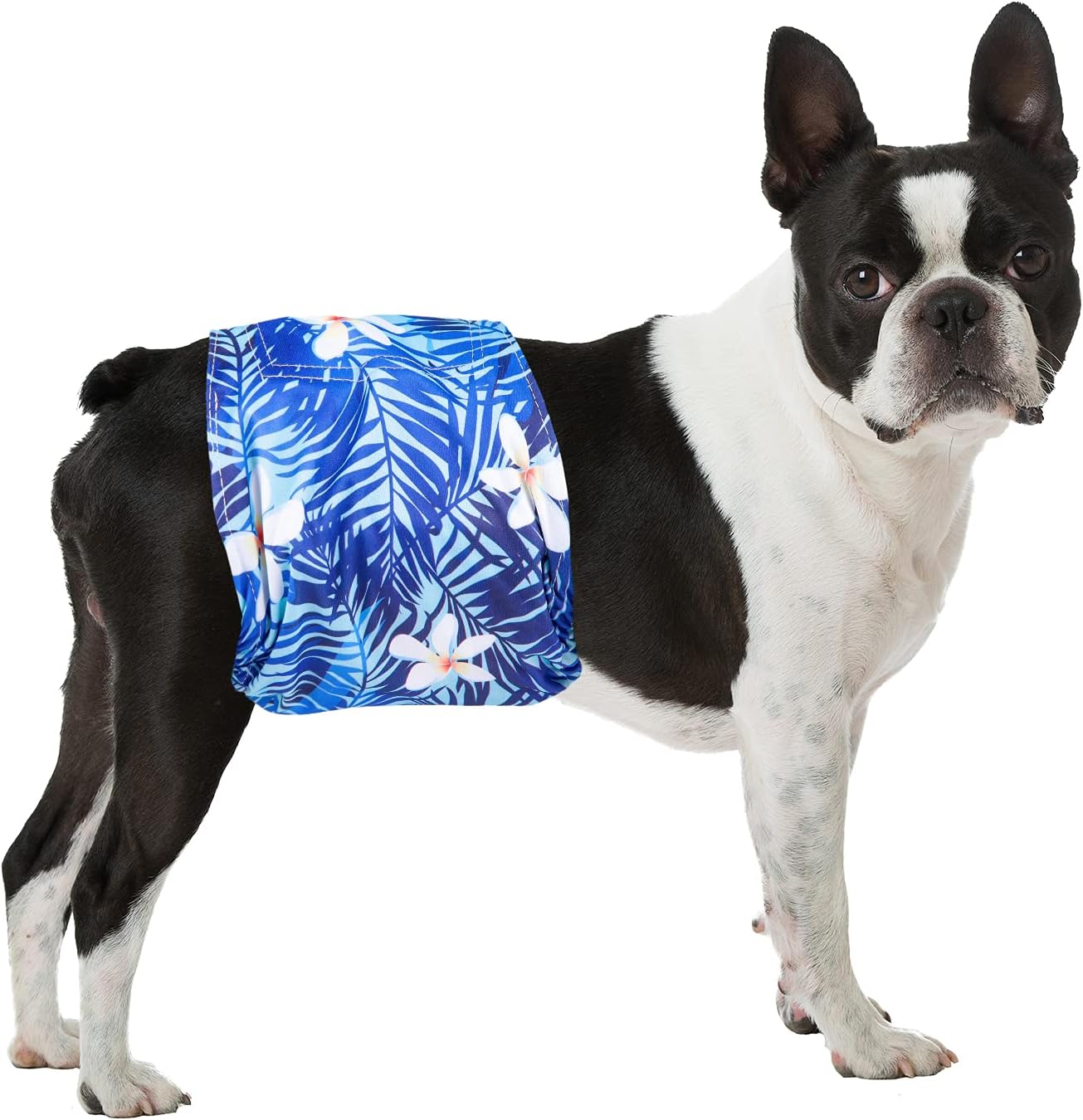 washable belly bands for dogs
