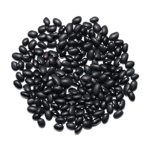 Miniatura 6 de 1000 SPRINGS MILL - Bolsa de frijoles negros orgánicos a granel de 25 libras - Utilizado para sopas, ensaladas, chile, salsas o varios platos de