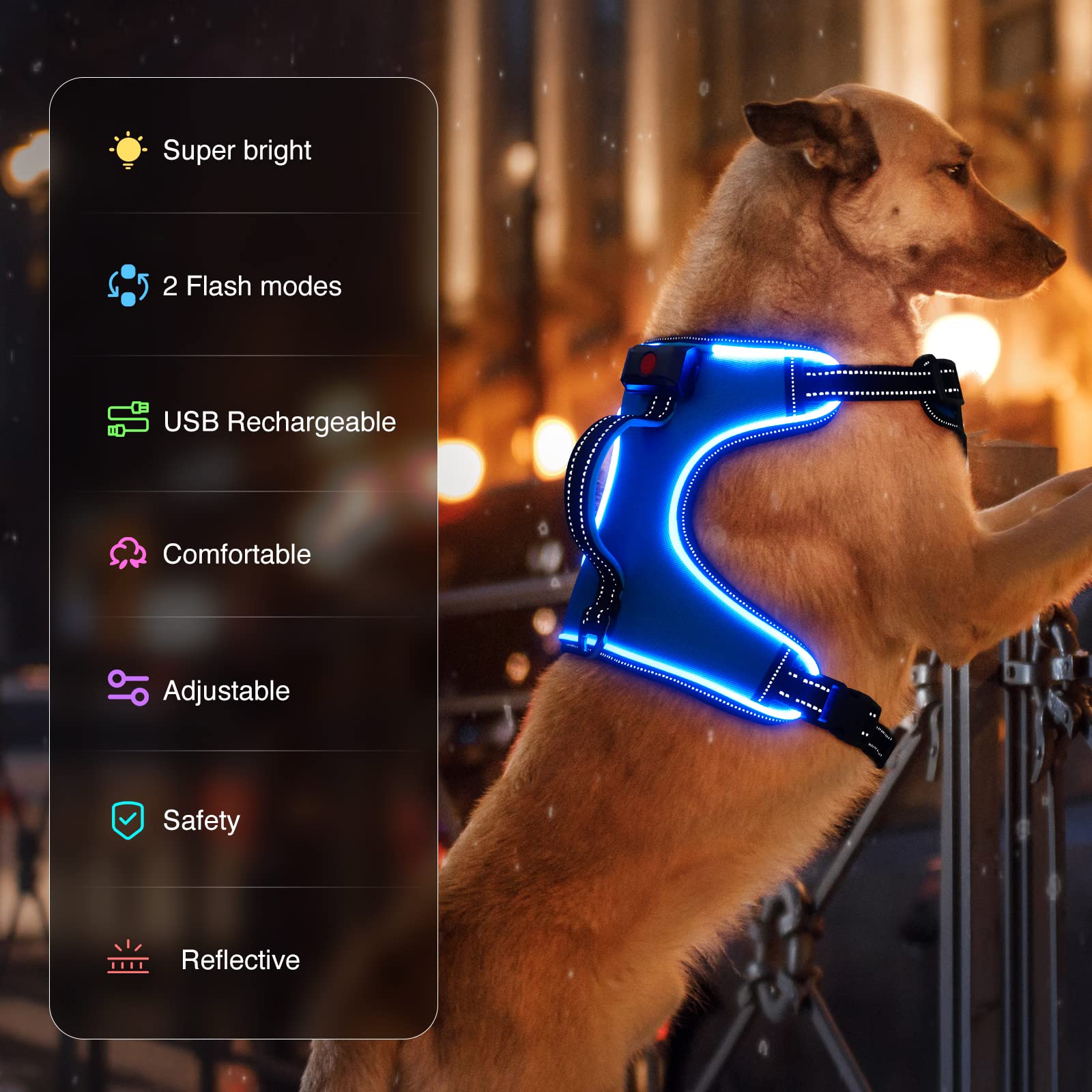 Dog Flashing Light Harness LED Dog Harness Leash Rope Belt Collar Vest U2013 Little Pet Store