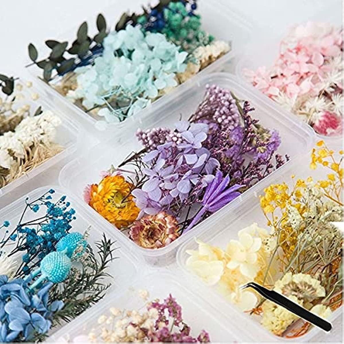 Dried Flowers for Resin with Tweezers Multiple Colorful Real Pressed Dry Flower Leaves Mixed, for DIY Crafts Nail Art Candle Soap Making Phone Case Jewelry Pendant Floral Decors, a Box (1 Box)