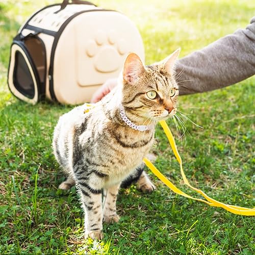 Miniatura 4 de Collar cubano de diamantes con cadena para perros (16 pulgadas, rosa+blanco)