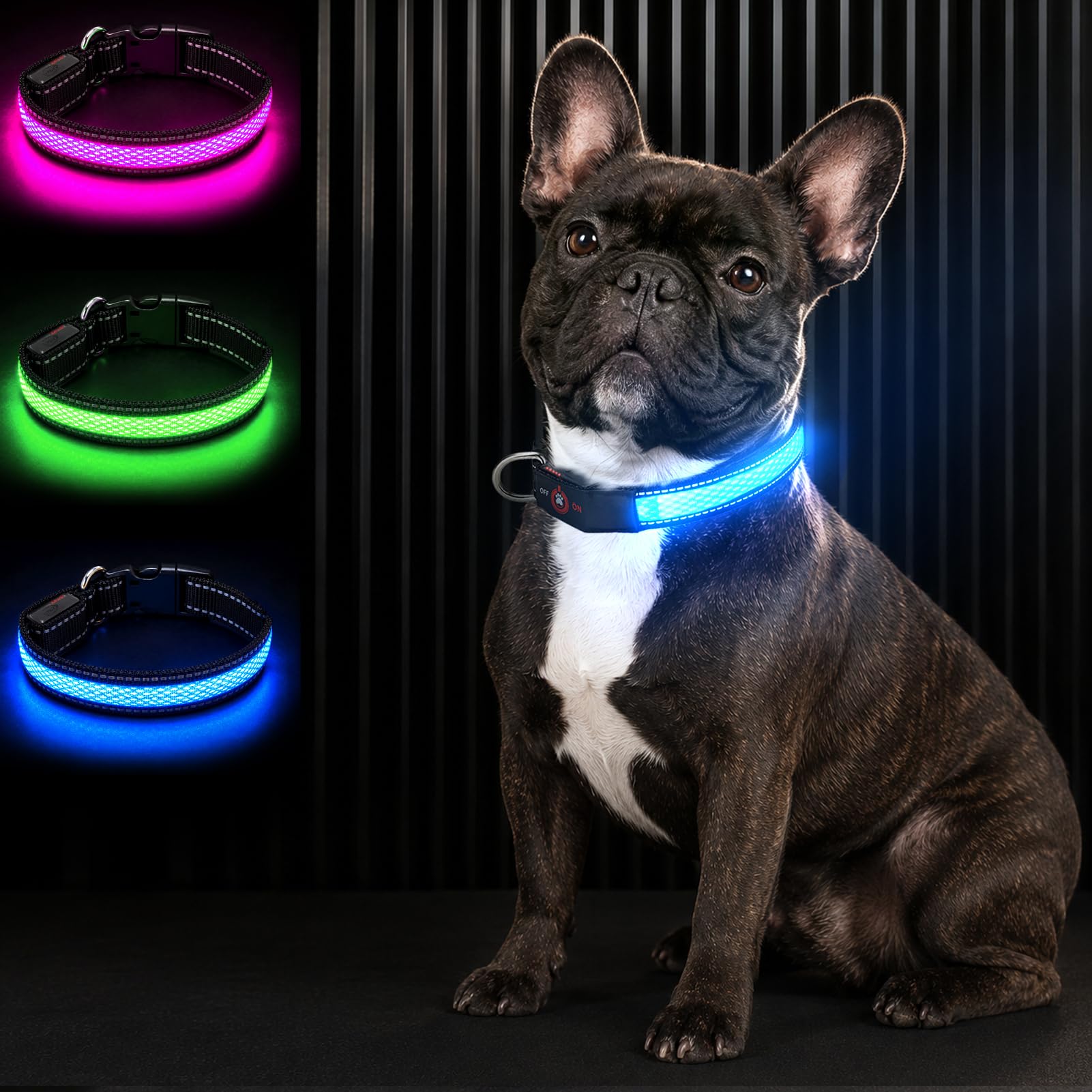 Bamda LED Light Up Dog Collar for Small Dogs & Cats, Blue XS