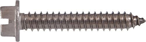 Le groupe Hillman 823094 en acier inoxydable Hex Rondelle Tête fendue Vis à tôle