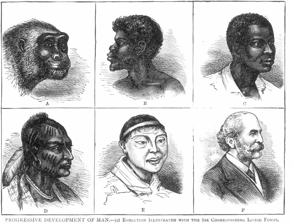 Evolution NProgressive Development Of Man Evolution Illustrated With The Six Corresponding Living Forms A Late-19Th Century Chart Of The Evolution Of Man From Ape To European Poster Print by (24 x 36