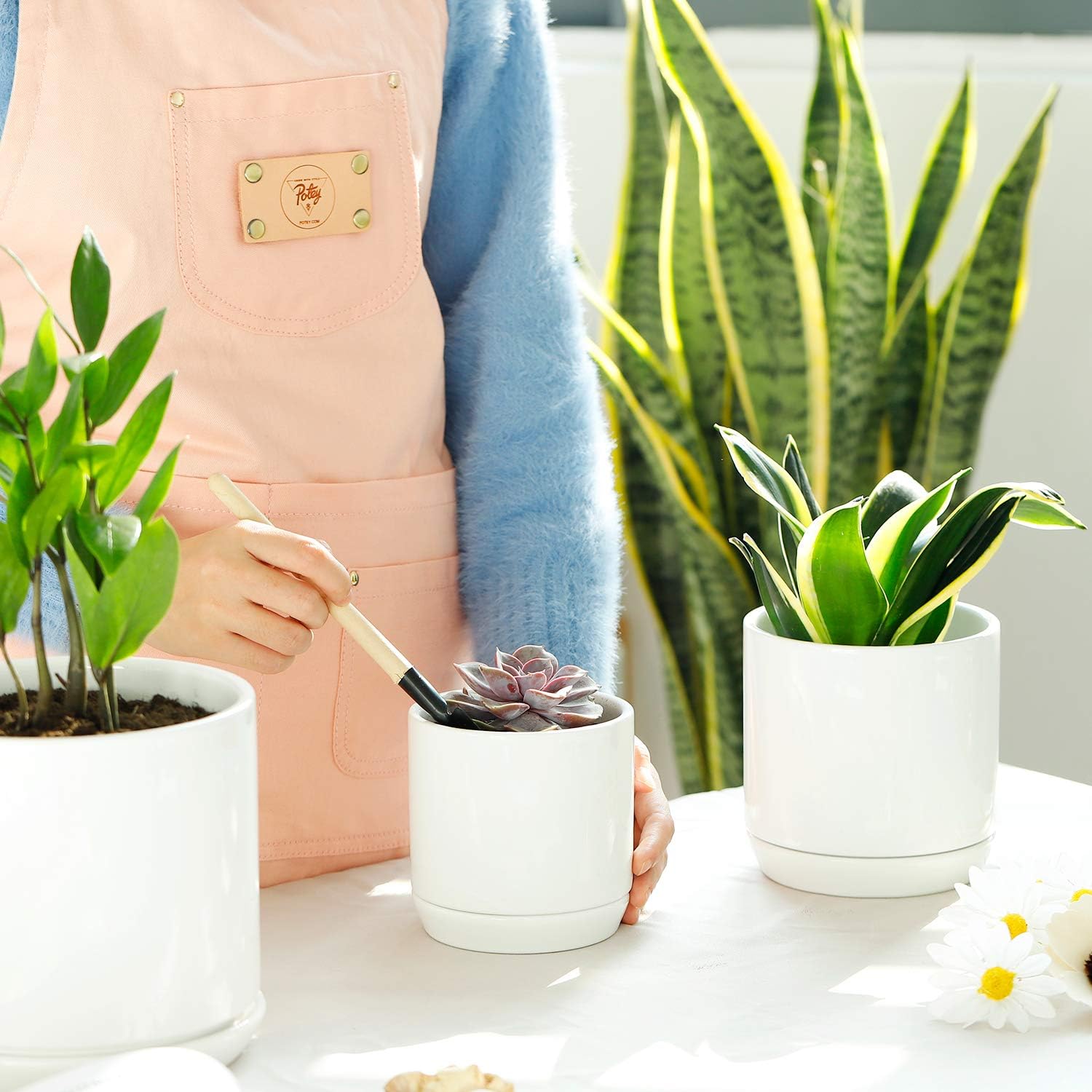 White Planter Pots for Plants Indoor - 6.6 + 5.1 + 4.2 Inch Modern Home Decor Ceramic Flower Pots Indoor Bonsai Container with Drainage Holes & Saucer(Plants Not Included)