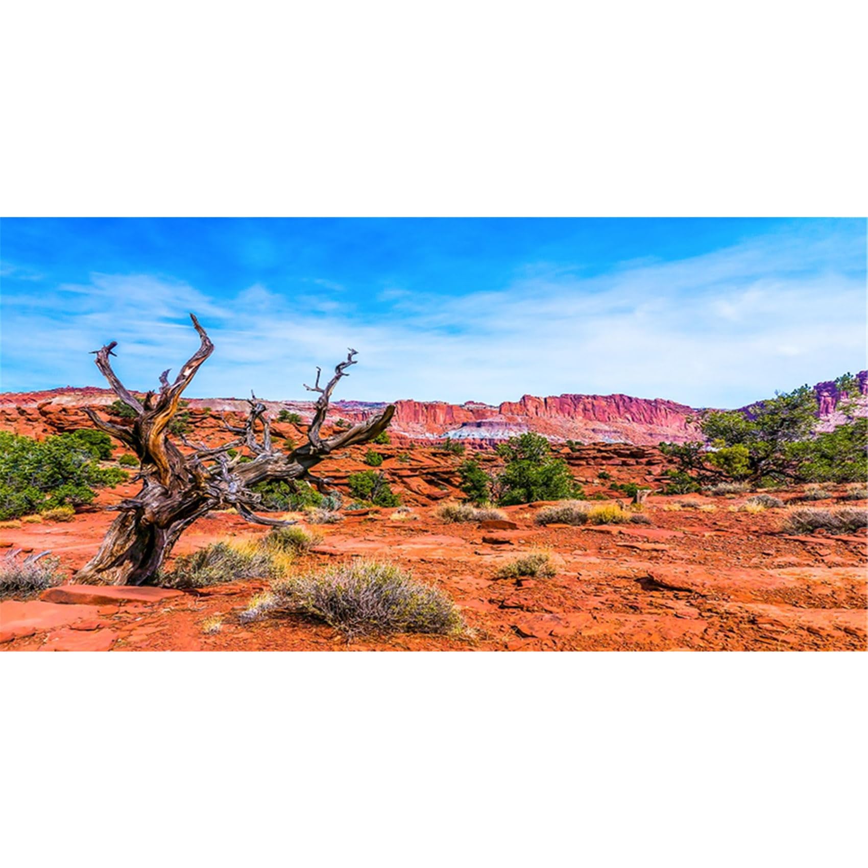 MIRRORANG 120x61cm Terrarium Background Blue Sky Mountain Oasis Desert Sun and Gobi Reptile Habitat Background Vinyl Background