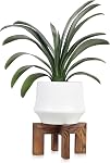 Plant Stand, Indoor/Outdoor Wood Plant Holder, Single Flower Pot Stand, Sturdy Planter Stand (Walnut, Fit 5-15inch pots)