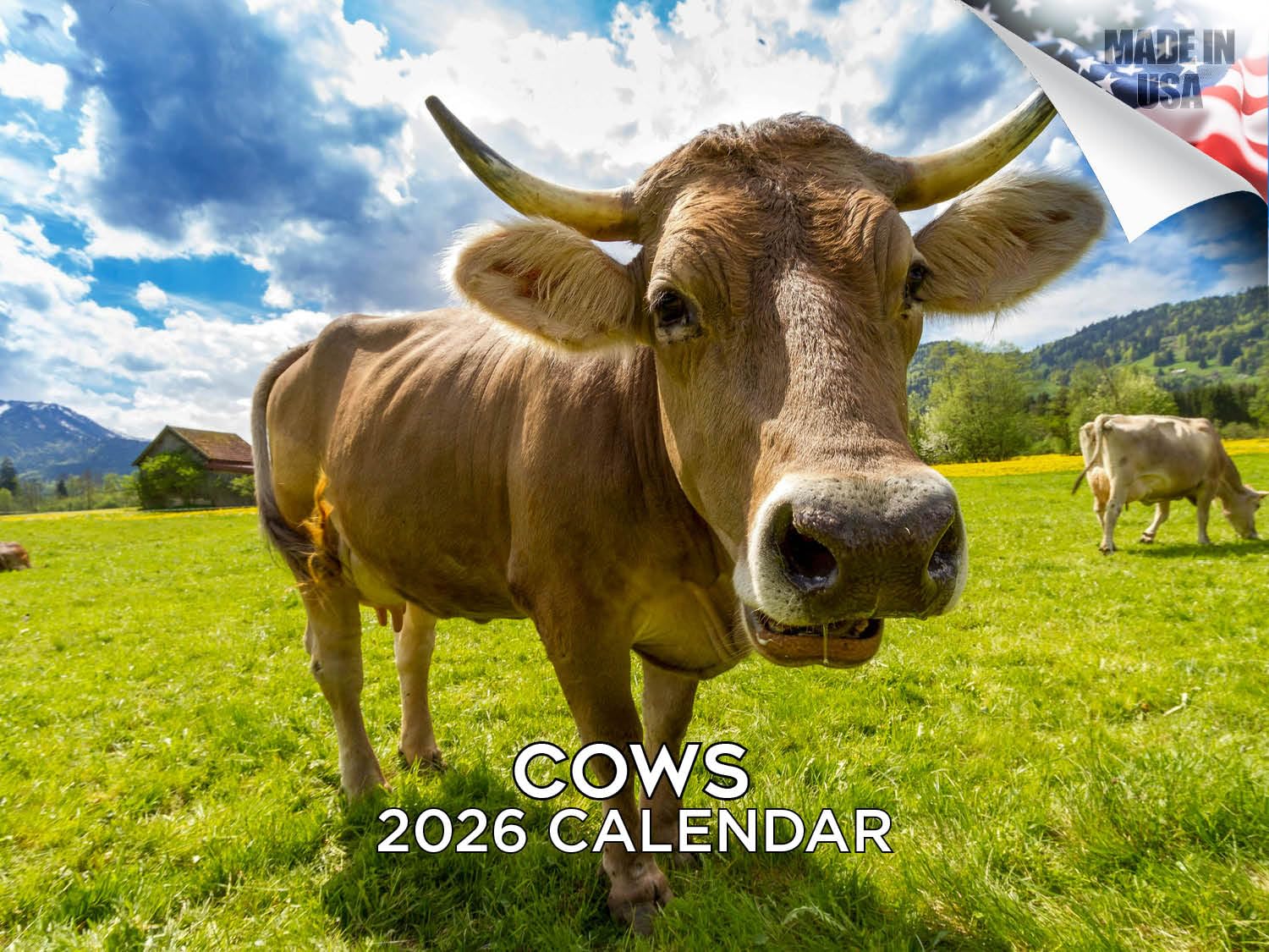 2024 2025 Cows Calendar - Cute Farm Animal Monthly Wall Calendar - 12 x 18 Open - Thick No-Bleed Paper - Giftable - Academic Teacher's Planner Calendar Organizing & Planning โ image 1