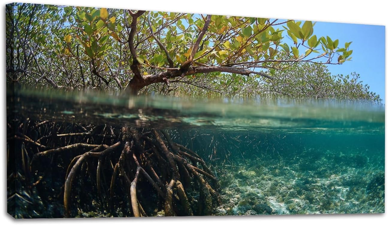24"x 48" Canvas Wall Art Mangrove trees roots below water Framed Pictures Painting Prints Large Wall Art for Living Room Bedroom Abstract Home Wall Decor Artwork