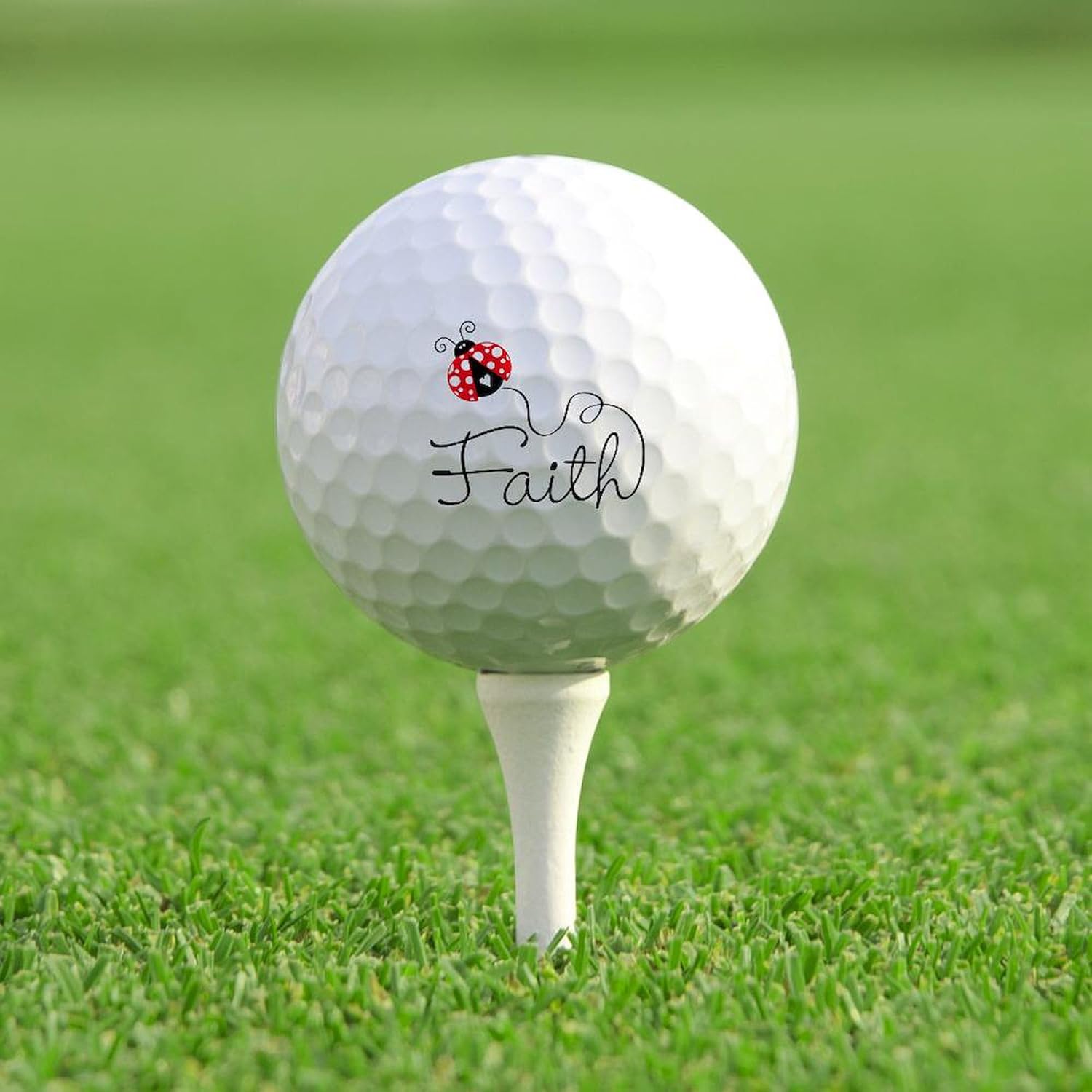 CafePress Ladybug Faith Novelty Golf Balls (Pk of 12)