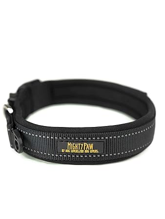 Mighty Paw Neoprene Padded Running Dog Collar, Sports Collar with Reflective Stitching, Extra Comfort for Active Dogs (Black- Small 12-15