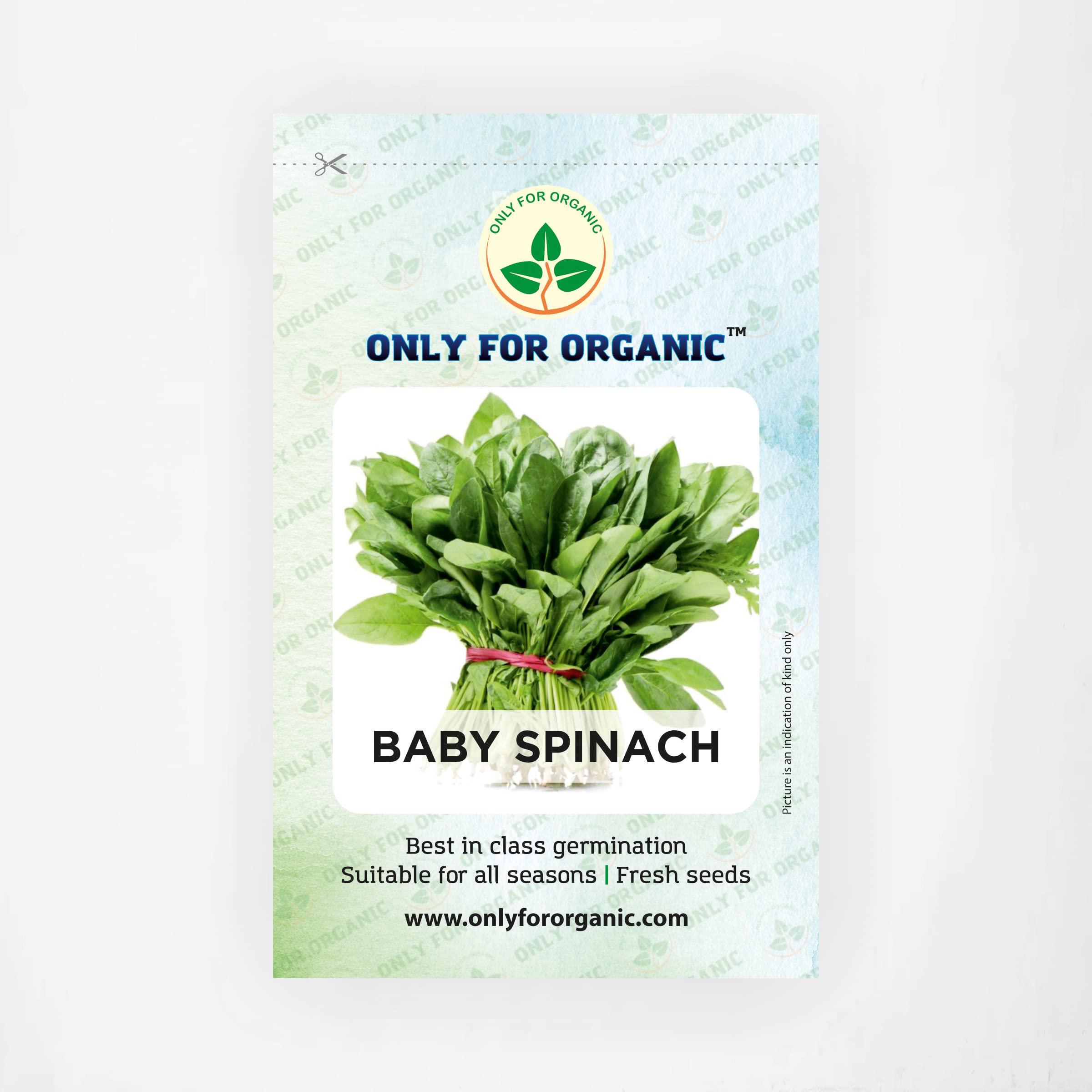 Only For Organic Baby Spinach Seeds (500 Nos) (B09W9M3ZNM) Amazon Price History, Amazon Price Tracker