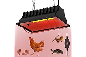 Chicken Coop Light with Optimal 250W Heat Lamp and Adjustable Height