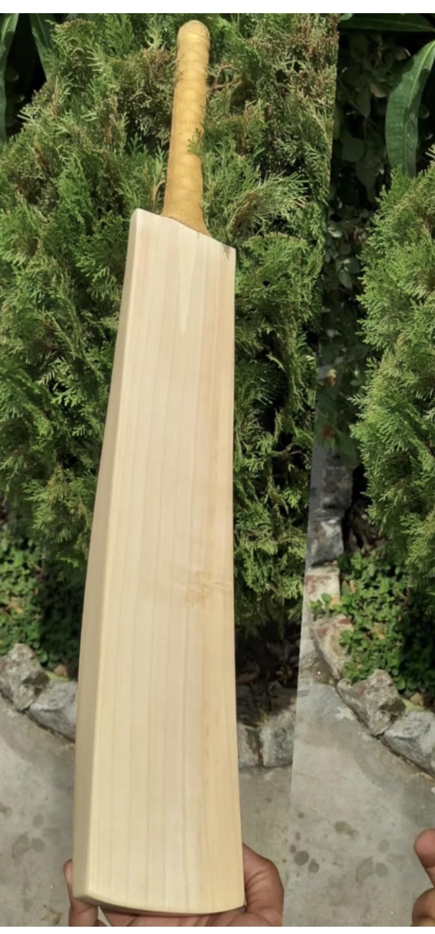 English Willow Plain Cricket Bat Size 6 Leather BAT Size 6-picture-17