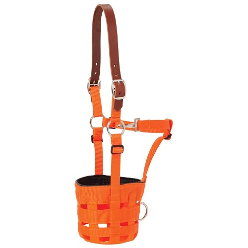 Weaver Leather LG GRAZING Bozal Unisex con Corona, Caballo BO, Naranja Brillante, L