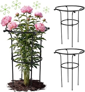 2 Pack Large Peony Cages and Supports, 26" H x 20" D Grow Through Plant Support Rings, Plastic Rings with Stainless Steel Stakes for Peonies, Roses Tomato Hydrangea Strawberry