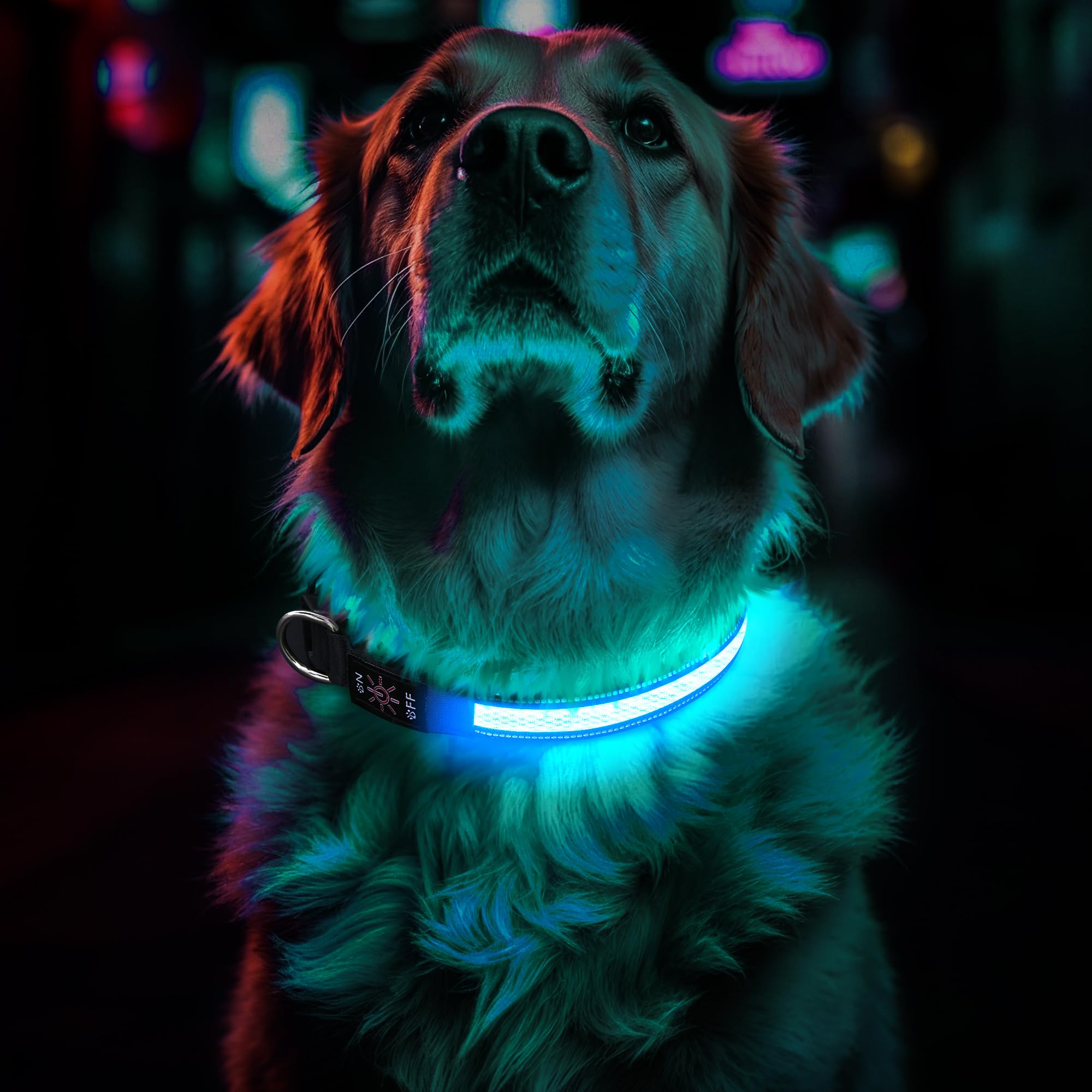 Light Up Dog Collar Rechargeable
