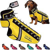Vista 10 de CoyoteVest SpikeVest - Chaleco de arnés para perro, accesorios reflectantes para perros con picos para proteger a tu mascota de ataques de Raptor