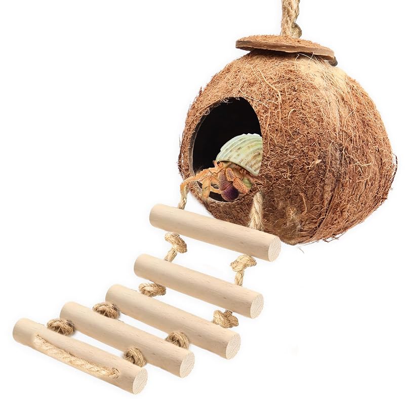 Esconderijo para Répteis de Casca de Coco com Escada Removível hhdatc – Conjunto com 1