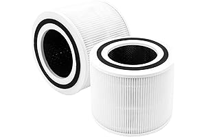 Core 300-P Replacement Filter: Keep Your Air Pure and Healthy