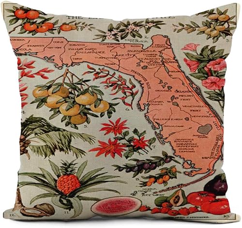 Topyee Funda de almohada cuadrada de 16 x 16 pulgadas, diseño vintage de frutas históricas antiguas, decoración del hogar, fundas de almohada