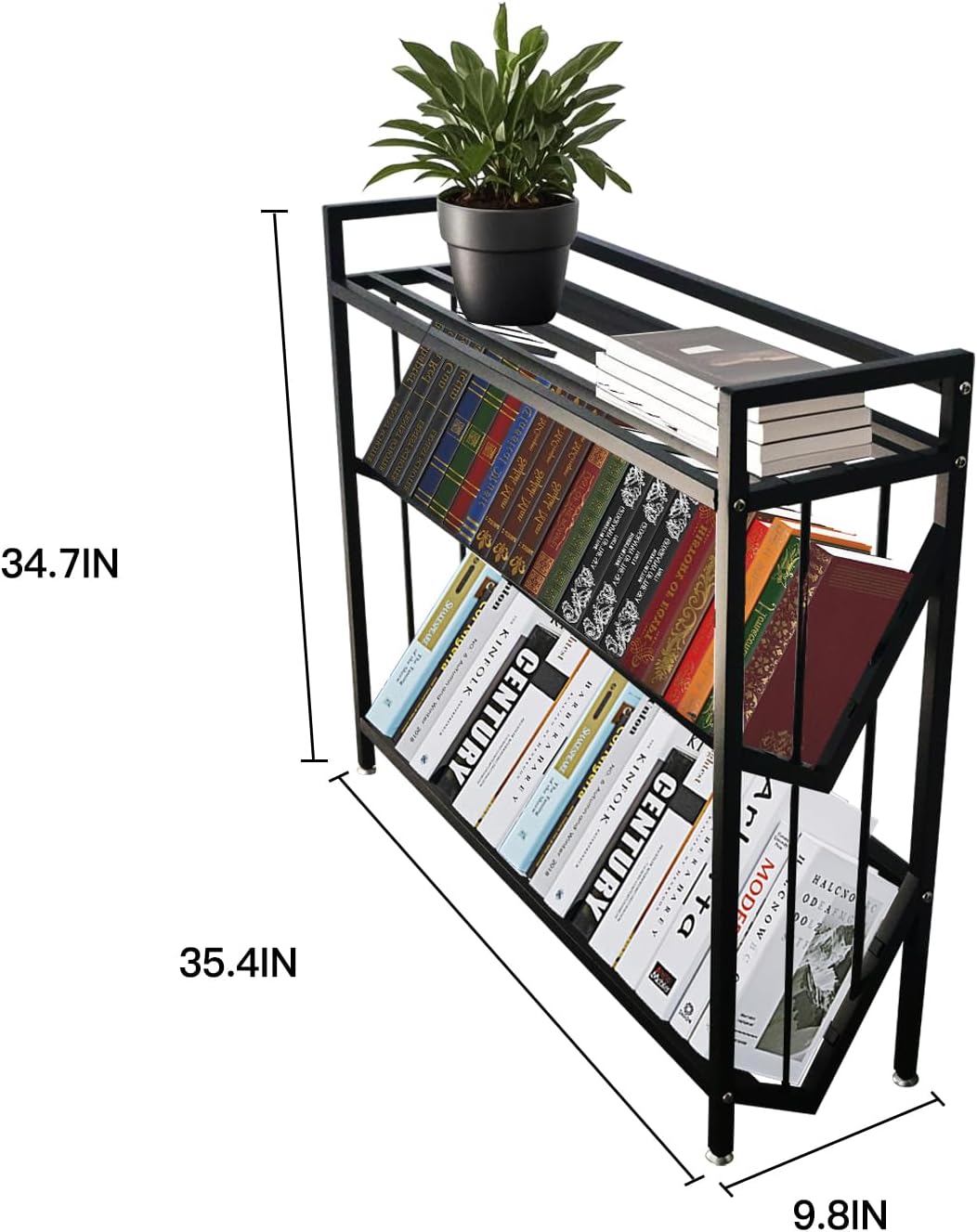 https://m.media-amazon.com/images/I/71InrdKAIkL._AC_SL1500_.jpg