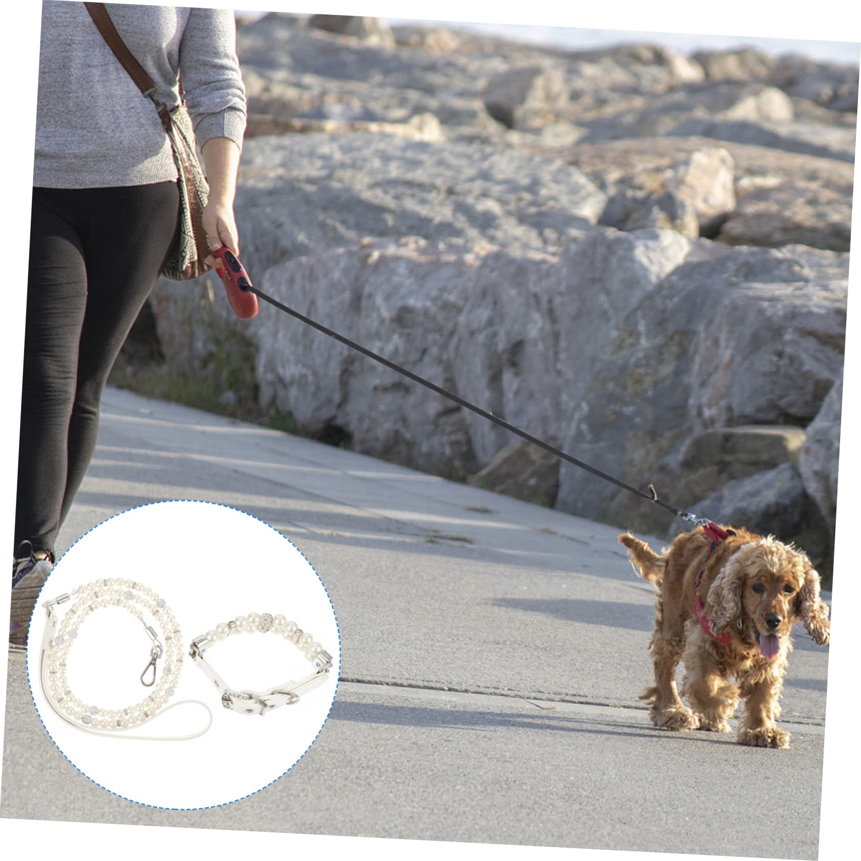 Beavorty Juego De 4 Correas Ajustables para Perros Y Cachorros Collar Y Corbata